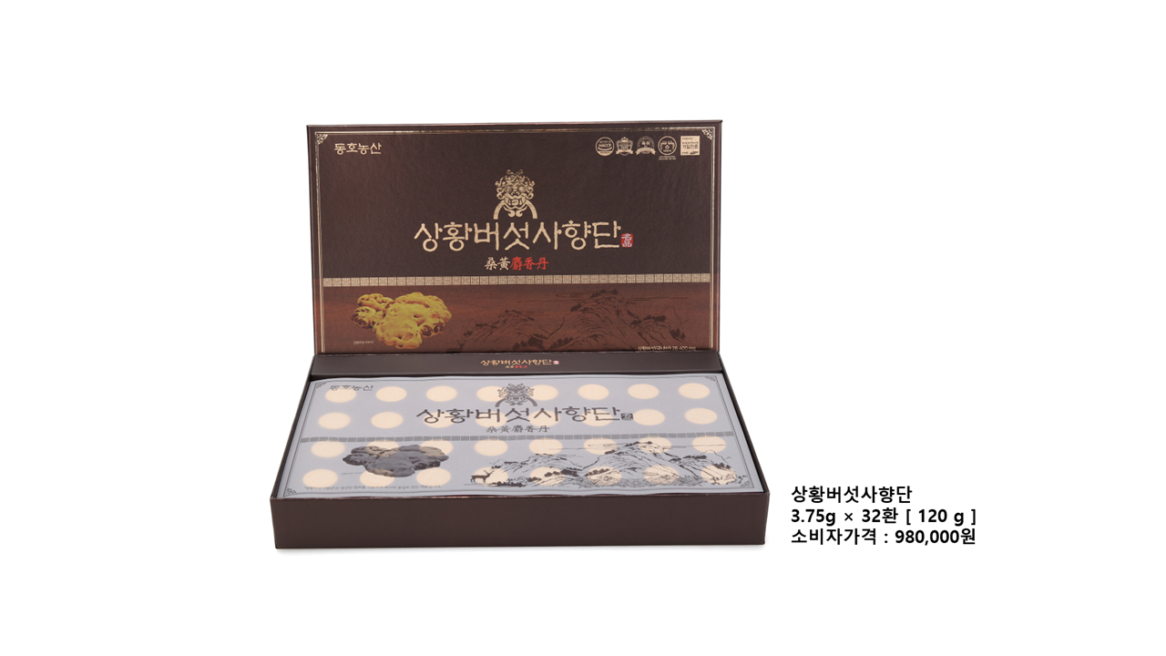 상황버섯상황단